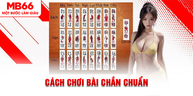 vvvwin88 gà chọi cậu thanh