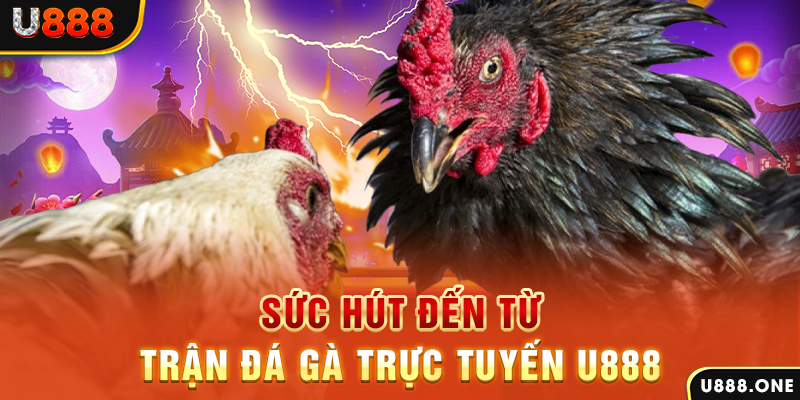 vvvwin88 đá gà trực tiếp c1