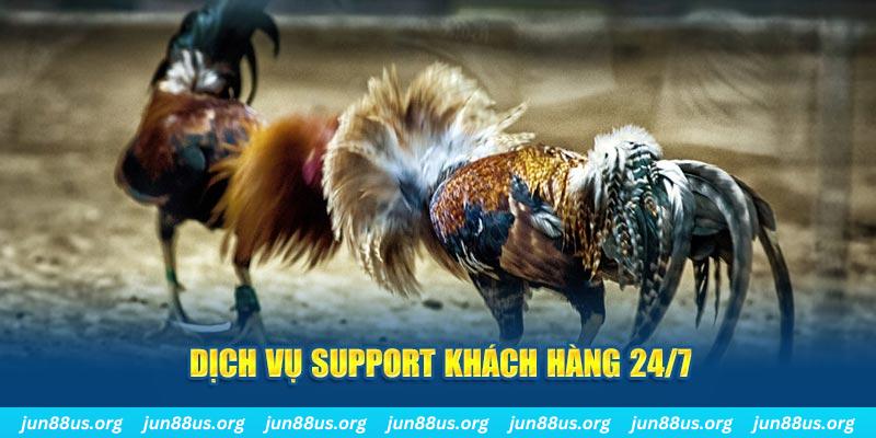 vvvwin88 ÁT CHỦ BÀI GIÀNH LẤY ZHUANG NIUNIU ( XEM 4 LÁ )