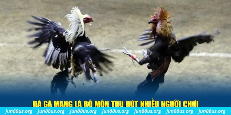 vvvwin88 bắn cá au88
