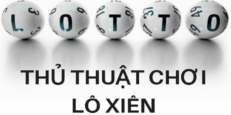 vvvwin88 trực tiếp đá gà thomo