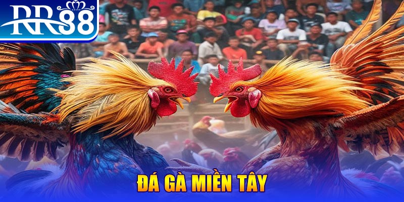 vvvwin88 no hu doi thuong ai