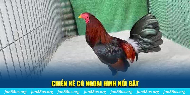 vvvwin88 game nổ hũ là gì