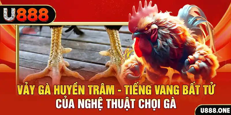 vvvwin88 xổ số miền bắc ngày hôm nay